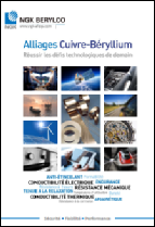 NGK_Berylco_Catalogue_FR_2024.01.pdf