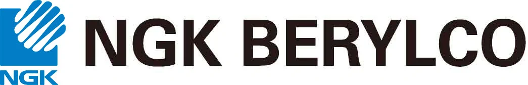 NGK BERYLCO