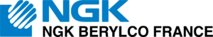NGK BERYLCO